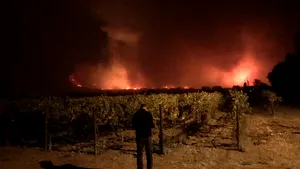 Cel puţin zece persoane au murit, iar alte 100 au fost rănite, în urma incendiilor de vegetaţie din California / Peste 1500 de clăriri, distruse/ E stare de urgenţă în patru districte
