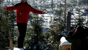 Cine taie pădurile din România. La Bilbor preotul satului avea gater lângă biserică - Un reportaj 