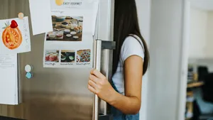 Ce legătură au magneții de frigider cu factura la curent. Răspunsul e surprinzător