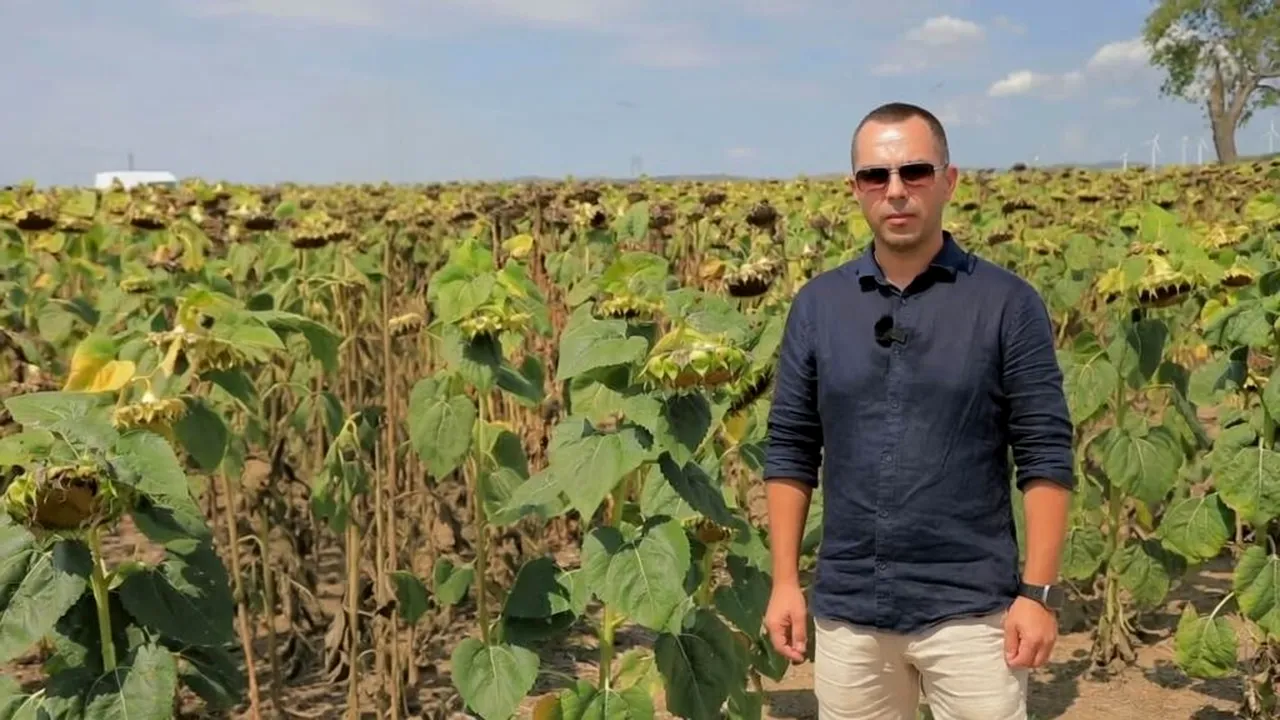 Cum transformă produsele biologice rezultatele din câmp în decizii de investiții