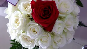 FlorideLux a deschis prima florărie offline proprie în Bucureşti, o piaţă de 40 milioane de euro