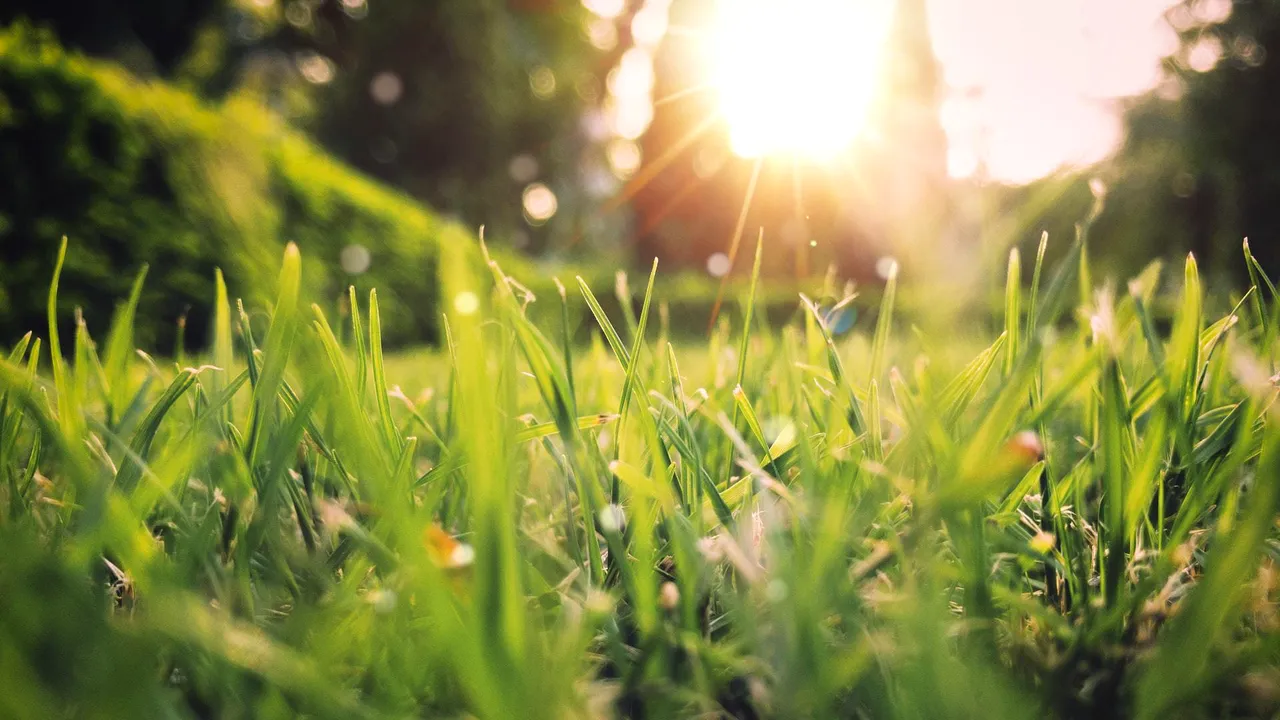 Prognoza meteo pentru următoarele două săptămâni: De la 27 de grade la 20, cu nopţi răcoroase 