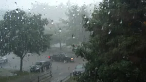 Peste 80.000 de hectare de pădure au fost afectate de fenomenele meteorologice extreme