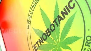 Tineri prinşi în timp ce vindeau câteva zeci de plicuri cu etnobotanice pe o stradă din Constanţa