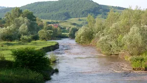 Caz tragic: O fetiţă de 10 ani s-a înecat într-un râu, în judeţul Sibiu