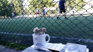 Slujba de înmormântare pentru scriitorul Gheorghe Iova are loc astăzi la 13.30, la biserica Popa Rusu