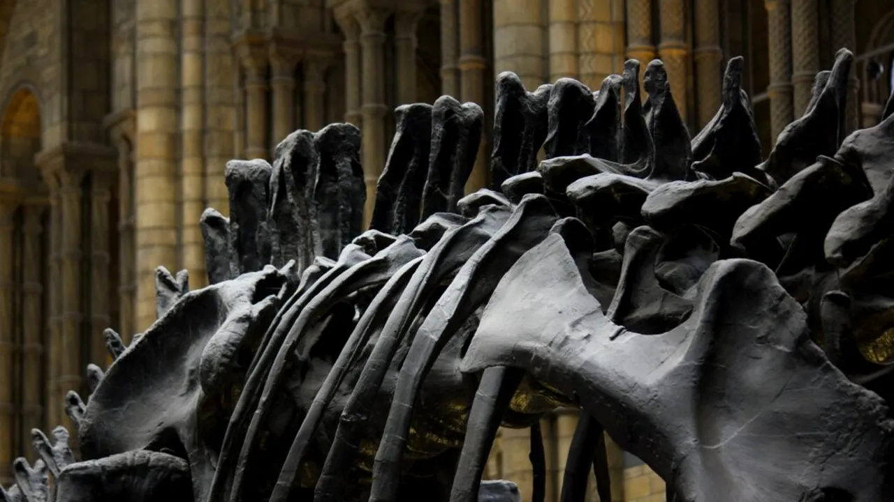 Oamenii de știință au reconstituit un cuib de dinozaur pentru a dezlega un mister vechi de 70 de milioane de ani