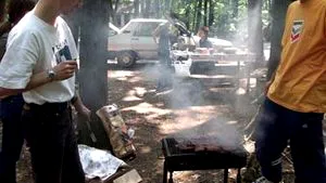 Romanian Environment Min Drafts Picnic Area Law