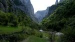 România se golește din nou: cele mai multe plecări definitive din 1990 încoace
