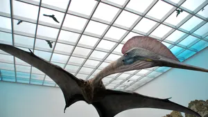 Cel mai mare dinozaur zburător din lume, descoperit pe teritoriul României, va fi dezvăluit la Antipa - FOTO & VIDEO 
