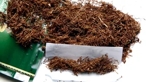 Captură impresionantă de ţigări şi 10 persoane reţinute, în urma percheziţiilor din Timiş şi Arad