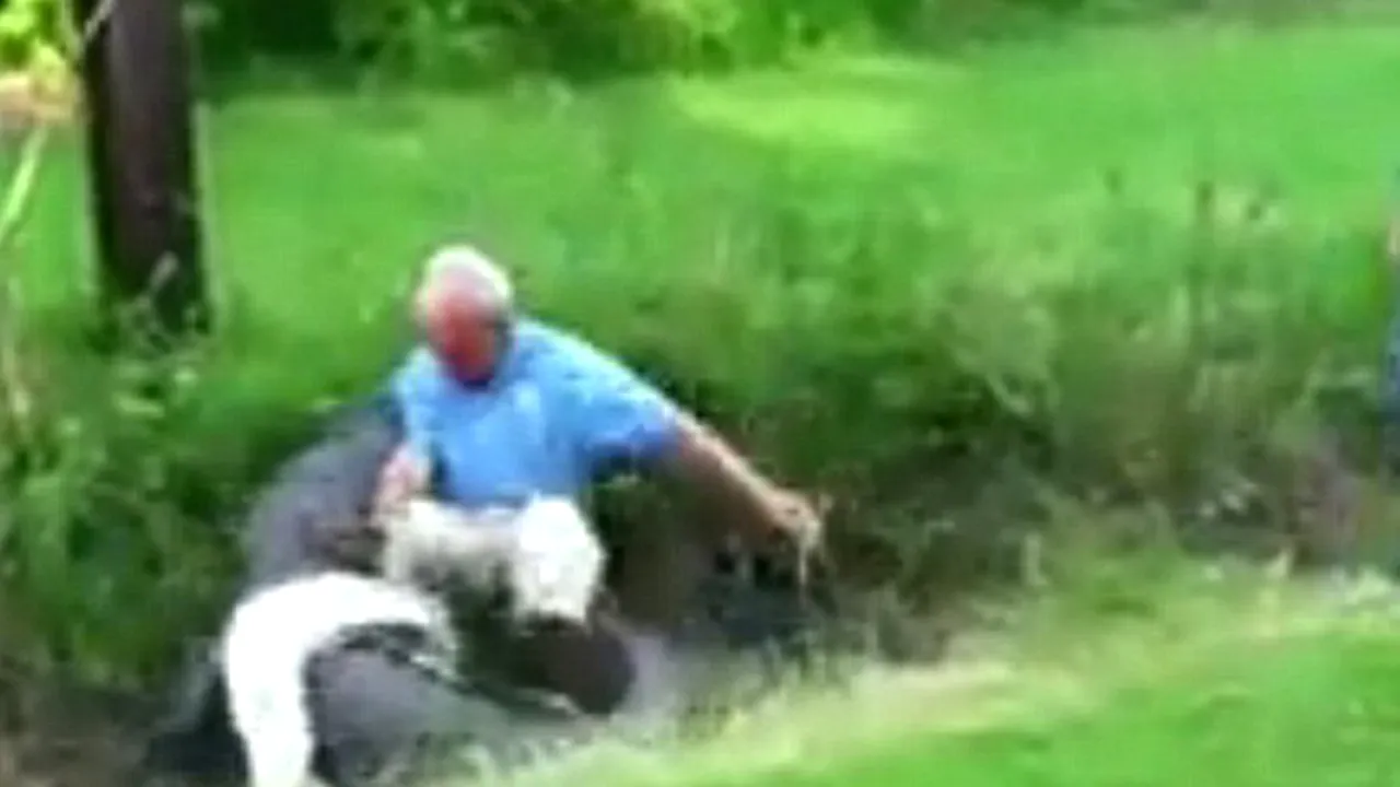 IMAGINI ŞOCANTE: Lupta pe viaţă şi pe moarte cu un ALIGATOR - VIDEO