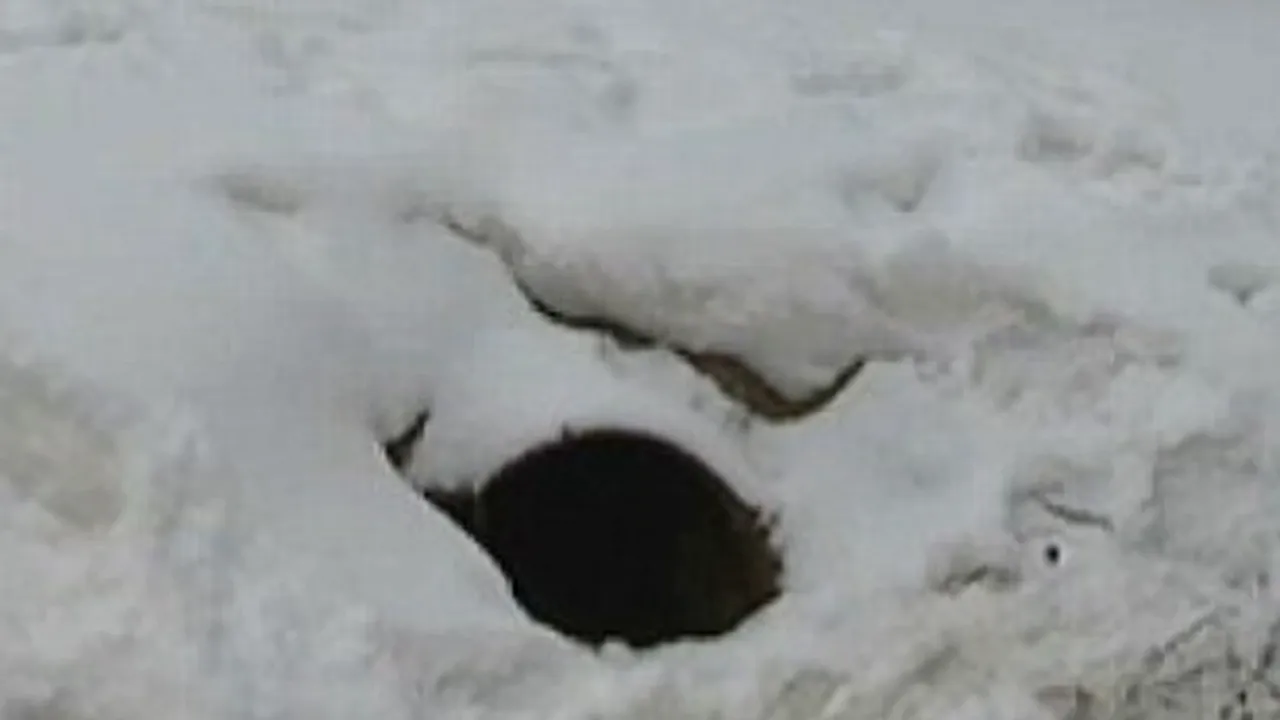 Surpriza din conducta de scurgere. Descoperirea la care oamenii nu s-au aşteptat - VIDEO