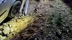 Familie cu un copil de doi ani, salvată de jandarmi după ce GPS-ul i-a condus pe un drum forestier