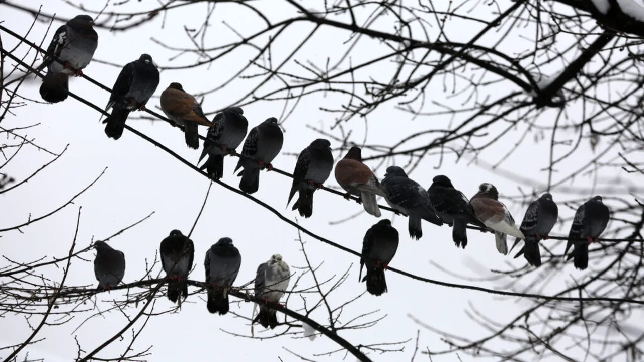 Vremea în România până pe 23 martie: estimările ANM pentru următoarele patru săptămâni