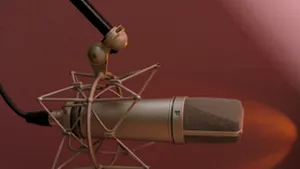 Record: cel mai lung spectacol de karaoke, în Finlanda
