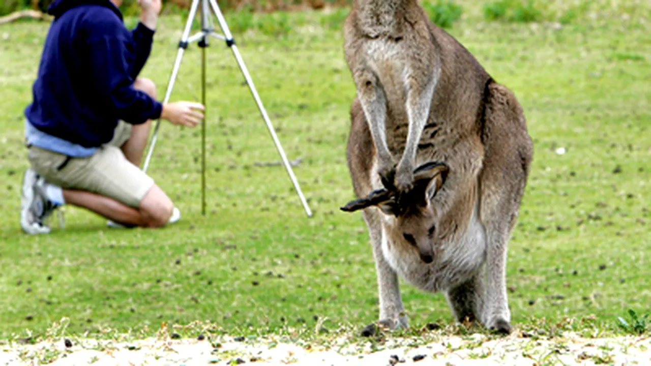 Romanians Benefit From Online Visa System For Australia