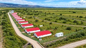 Carmistin The Food Company crește producția de alimente organice, prin deschiderea unei noi ferme de pui de carne BIO, la Săhăteni - COMUNICAT
