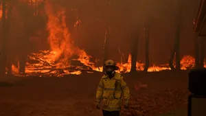 Incendiu de amploare într-un atelier de mobilă din Timişoara. Zeci de pompieri intervin