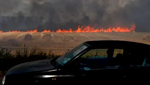 Ministrul Mediului: Incendierea pajiştilor ar trebui sancţionată cu dosare penale