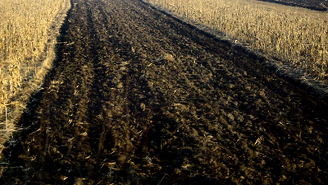 Interagro: În agricultură, criza se va resimţi cel mai mult la începutul toamnei