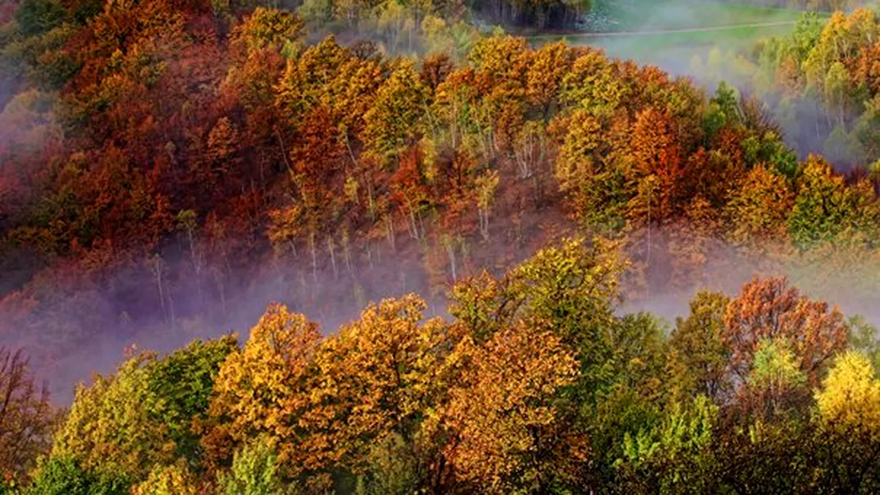 Bugetul alocat protecţiei mediului în judeţul Sibiu, mai mare cu 600 la sută faţă de 2012