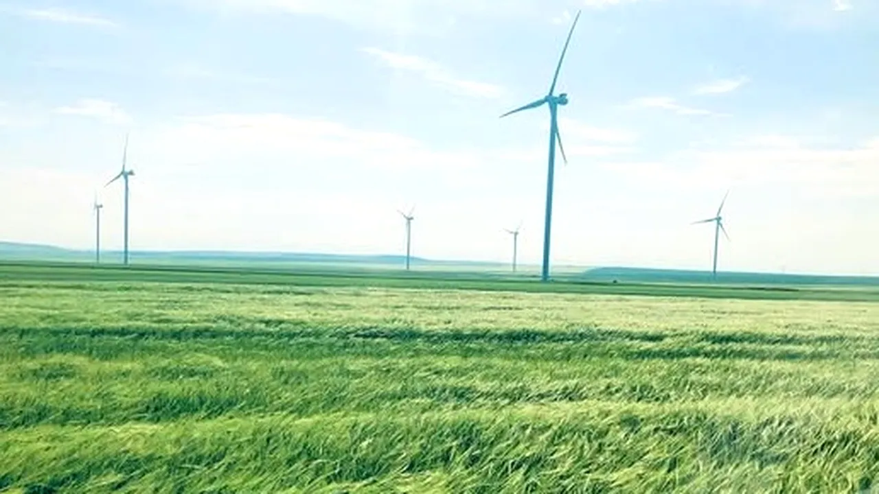 Hidroelectrica a atribuit contractul pentru mentenanța turbinelor de la Parcul Eolian Crucea Nord. Bogdan Badea, CEO: Vrem să adaugăm partea de stocare cu baterii