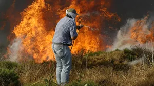 Atena ameninţată de incendiile de pădure - VIDEO