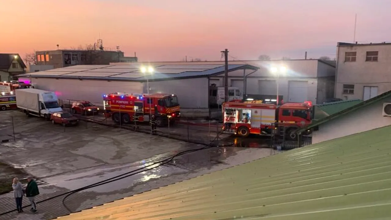 Incendiu într-o hală din Carei. Flăcările au cuprins un depozit de lemne