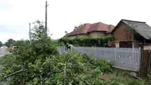 Arad:Pene de curent şi copaci dărâmaţi pe drumuri, în urma unei puternice furtuni