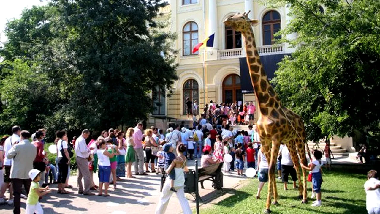 Girafa din faţa Muzeului Antipa din Capitală a fost distrusă - FOTO