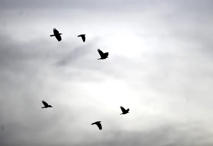 SOCIAL Ce se întâmplă cu vremea în România până în primele zile din 2026. Anunțul meteorologilor