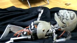 Fascinant sau înspăimântător? BEBELUŞUL-ROBOT, creaţia care imită perfect mişcările şi plânsul nou-născutului - VIDEO