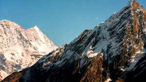 O pasăre din Himalaya, nevoită „să ridice tonul” din cauza zgomotului produs de turiști
