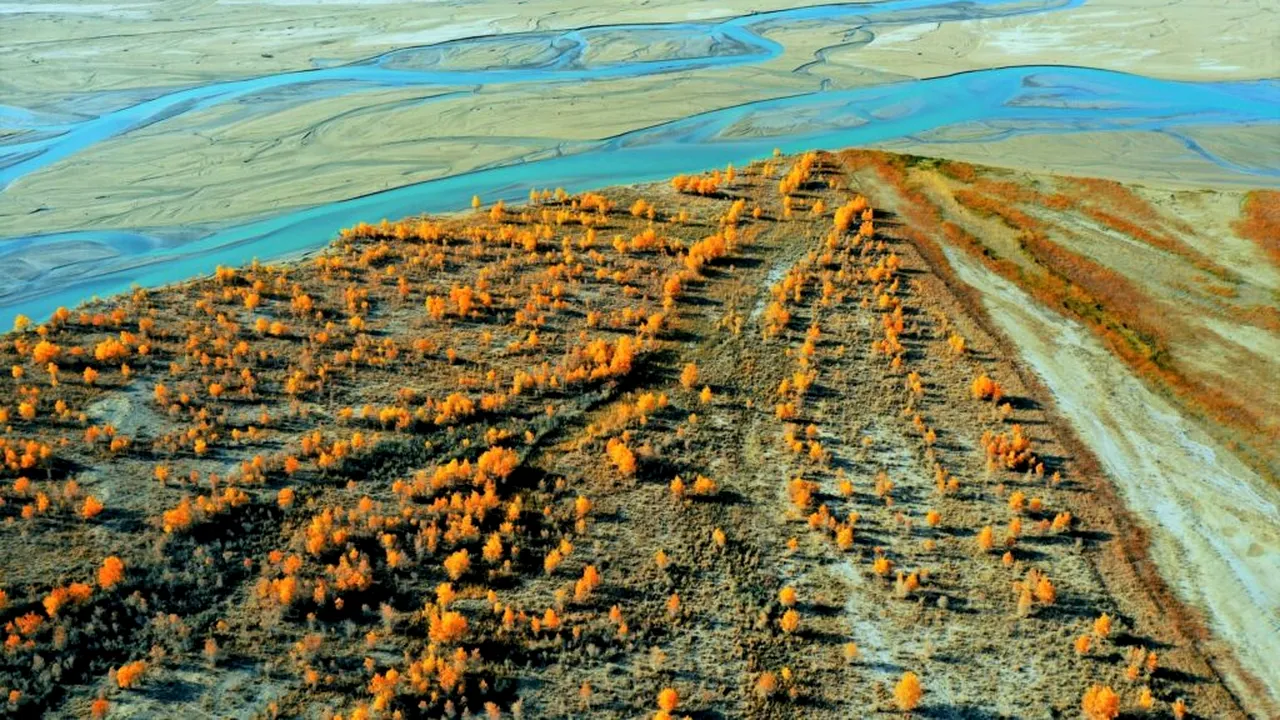 China schimbă peisajul climatic: Deșertul Taklamakan, transformat în rezervor natural de carbon după decenii de împăduriri