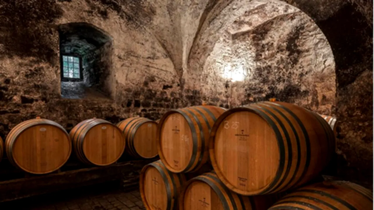 Jaf de 5 milioane de euro: hoții au golit o cramă în cel mai mare furt de vin din istoria Italiei