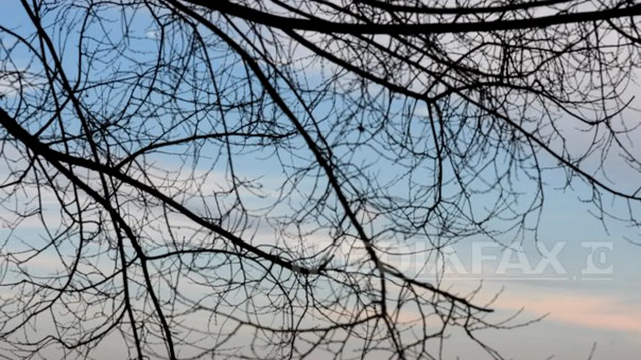 Cum va fi VREMEA până în luna aprilie. Prognoza meteo şi HARTA meteorologilor