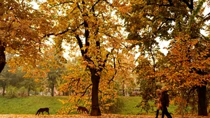 METEO Prognoza pentru următoarele două săptămâni. Unde se răceşte?