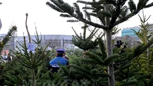 Motivul pentru care Primăria Târgu-Jiu renunţă la bradul plătit cu 100.000 de euro