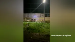 VIDEO Invazie de urşi în oraşul turistic Băile Tuşnad: în total, 8 urşi au coborât din pădure, în ultimele ore