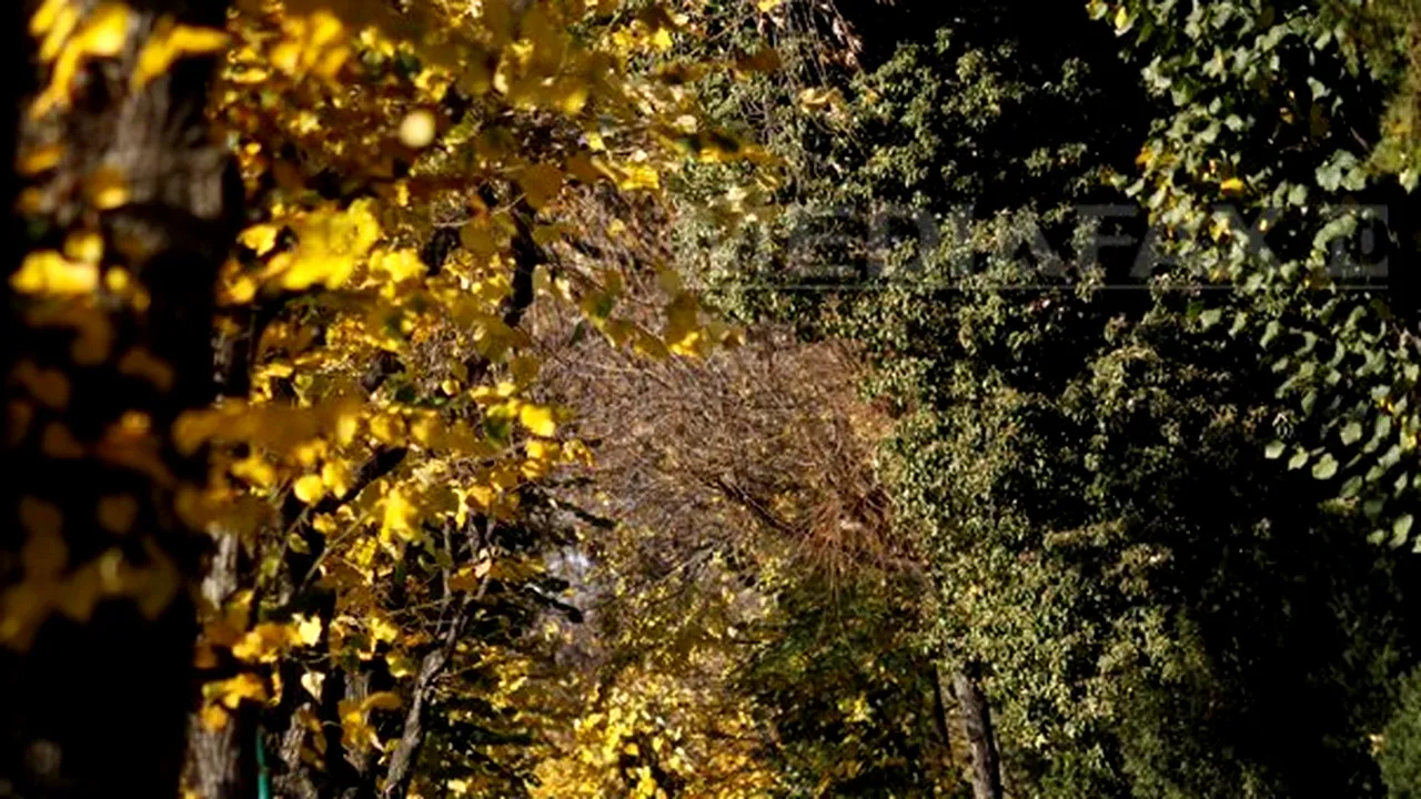 PROGNOZA METEO: Răcire accentuată a vremii, vânt şi ploi joi şi vineri. Temperaturile vor ajunge la 13-14 grade Celsius