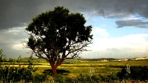 Sofia propune prelungirea interdicţiei cumpărării terenurilor de către străini, riscând sancţiuni UE