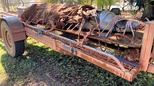 Crocodilul preistoric „regele mlaştinii” a fost descoperit în Australia