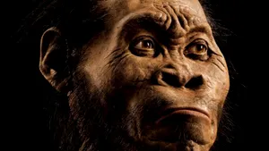 Homo naledi, un strămoş al omului, prezenta un grad ridicat de dexteritate în folosirea uneltelor