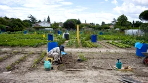 Sclavi în Austria. Ambasada de la Viena s-a autosesizat în cazul mai multor sezonieri români / MAE face verificări