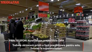 Grav afectaţi de Covid-19: Legumicultorii români nu ştiu să-şi vândă marfa. Cum ar fi putut evita criza