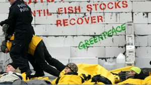 Opt activişti Greenpeace români, arestaţi de poliţia belgiană