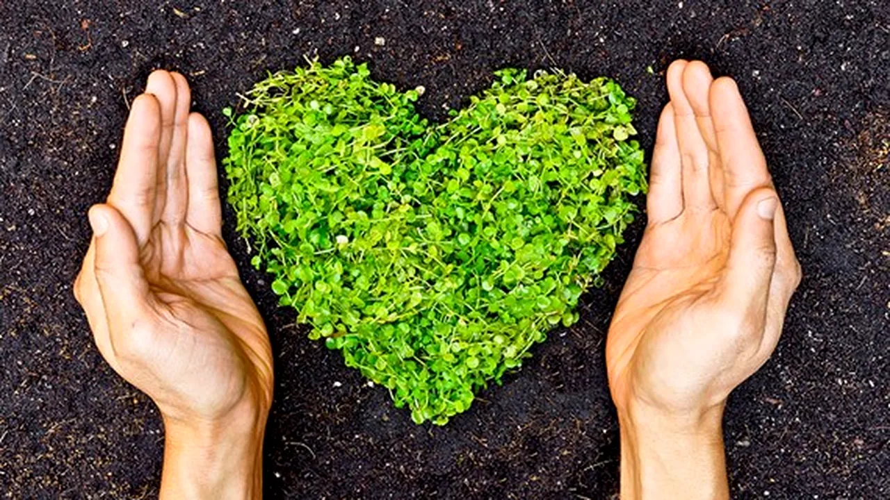 (P) La Forumul de Sustenabilitate 2021 al Coca-Cola HBC Group, GreenPoint Management obtine Premiul de Sustenabilitate
