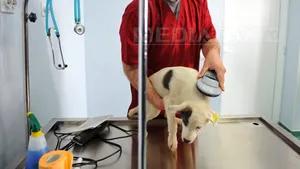 Premii, sporuri şi măsuri pentru protecţia salariaţilor, în proiectul de CCM din Sănătate