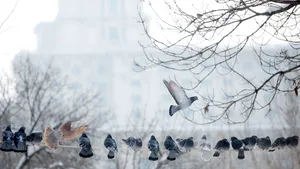 Vremea se va răci. PROGNOZA METEO pentru vineri şi sâmbătă